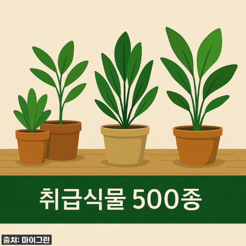 품절임박! 우리 집 겨울 분위기 확 관련 이미지 6
