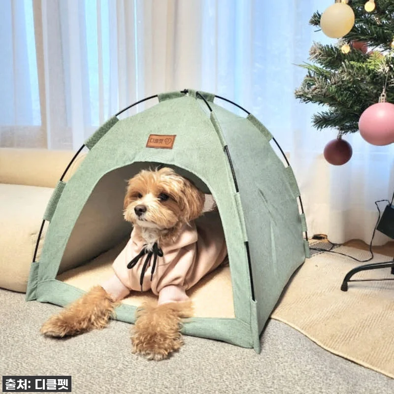 이건 무조건 사야 해! 댕냥이 집이 관련 이미지 5
