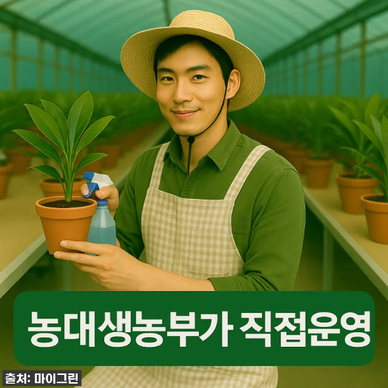 품절임박! 우리 집 겨울 분위기 확 관련 이미지 7