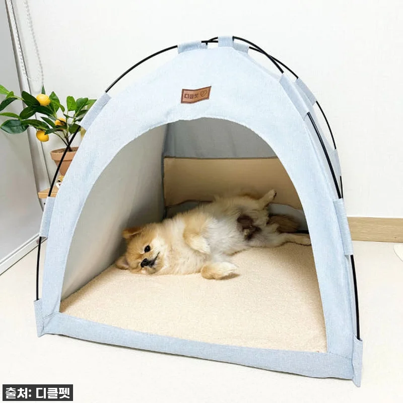 이건 무조건 사야 해! 댕냥이 집이 관련 이미지 6