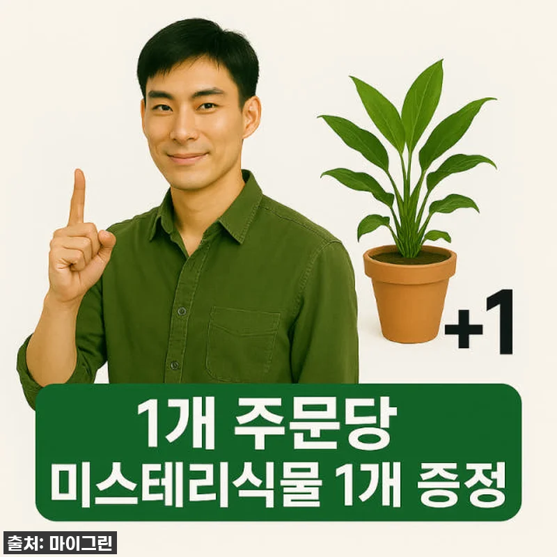 품절임박! 우리 집 겨울 분위기 확 관련 이미지 8