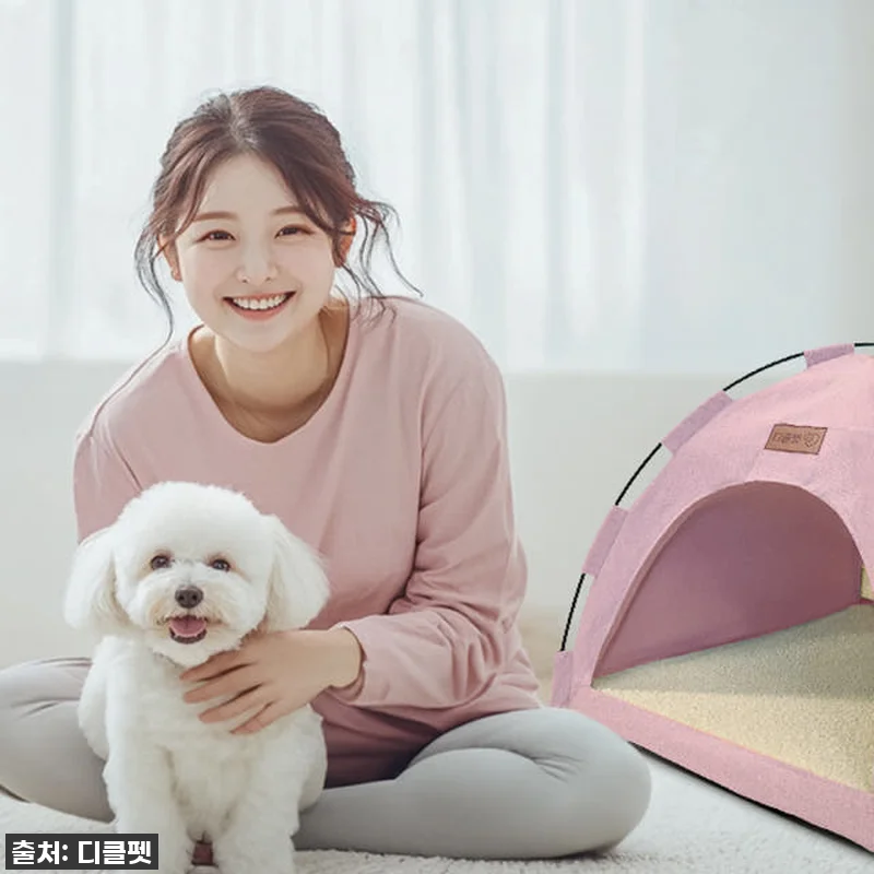 이건 무조건 사야 해! 댕냥이 집이 관련 이미지 7