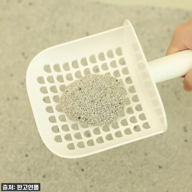 찐후기! 냥이들이 난리부르스 추는 ' 관련 이미지 7