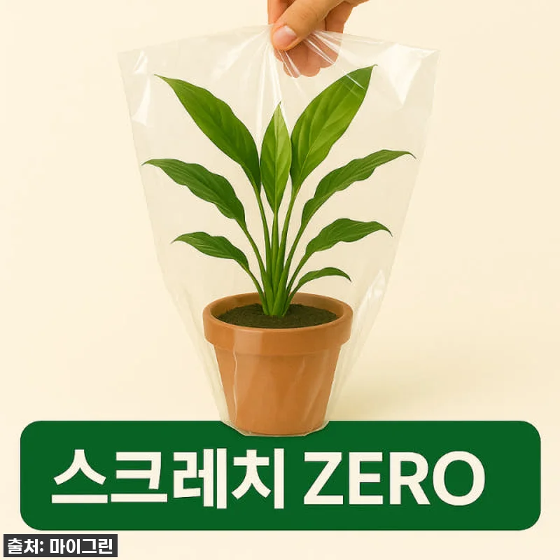 품절임박! 우리 집 겨울 분위기 확 관련 이미지 9