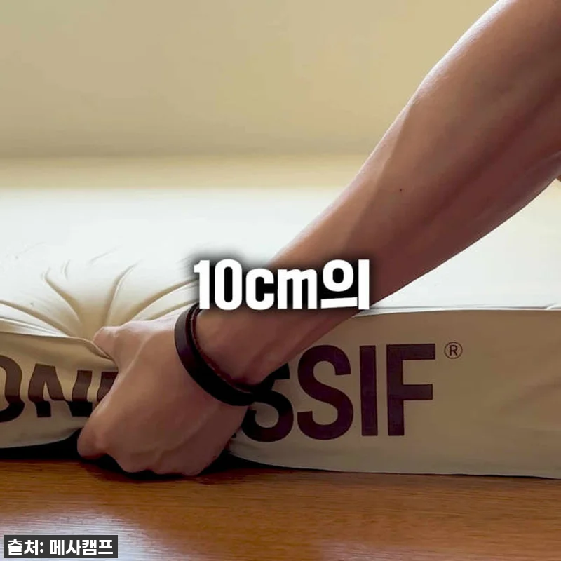 빈슨메시프 카스테라 자충매트 차박 피 관련 이미지 8