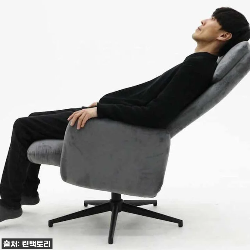 이 가격 실화? 린백토리 허그비 안락 관련 이미지 10