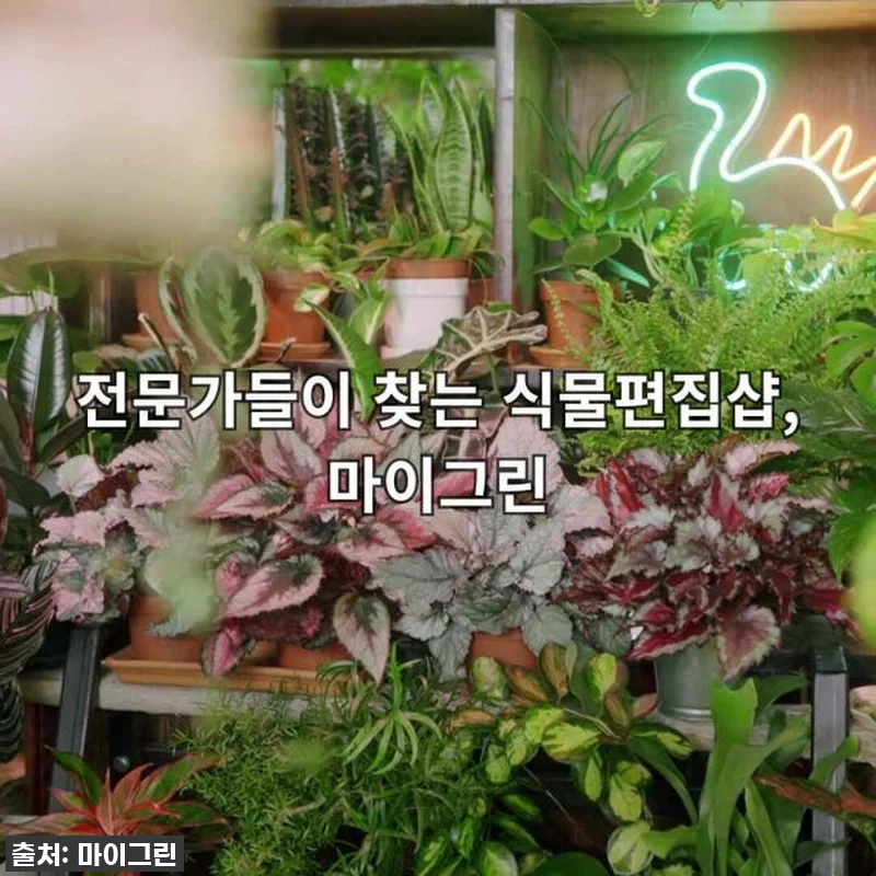 품절임박! 우리 집 겨울 분위기 확 관련 이미지 10