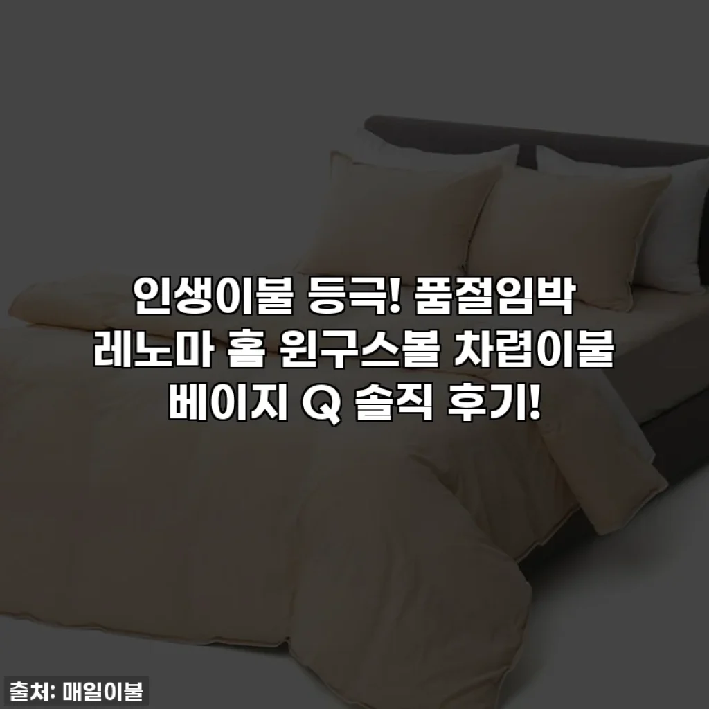 인생이불 등극! 품절임박 레노마 홈 윈구스볼 차렵이불 베이지 Q 솔직 후기!