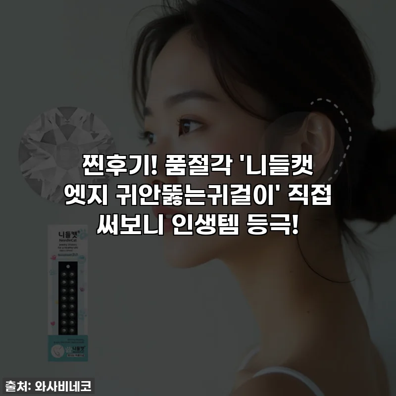 찐후기! 품절각 '니들캣 엣지 귀안뚫는귀걸이' 직접 써보니 인생템 등극!