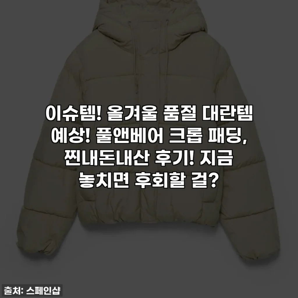 이슈템! 올겨울 품절 대란템 예상! 풀앤베어 크롭 패딩, 찐내돈내산 후기! 지금 놓치면 후회할 걸?