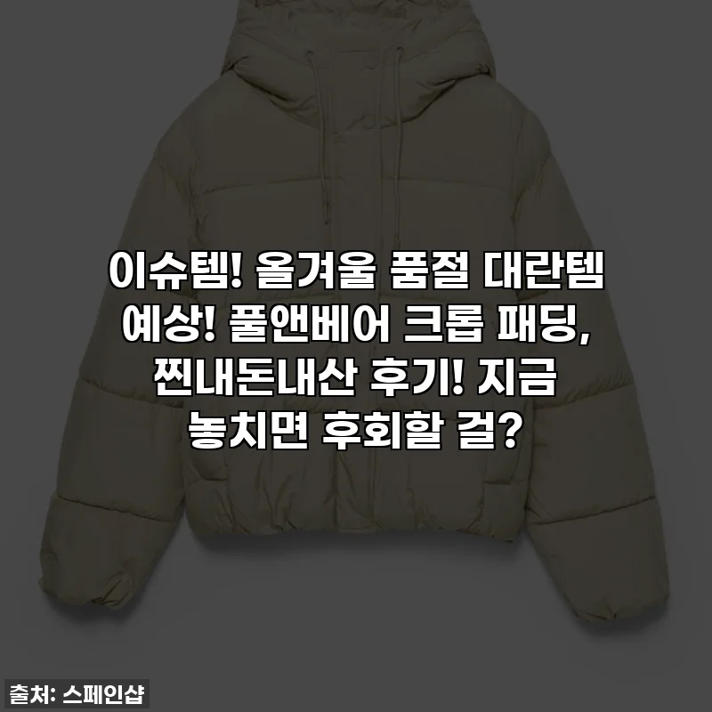 이슈템! 올겨울 품절 대란템 예상! 풀앤베어 크롭 패딩, 찐내돈내산 후기! 지금 놓치면 후회할 걸?
