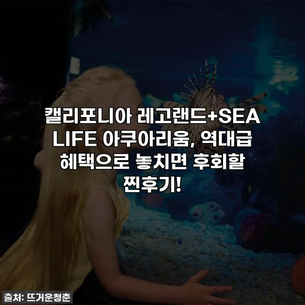 캘리포니아 레고랜드+SEA LIFE 아쿠아리움, 역대급 혜택으로 놓치면 후회할 찐후기!