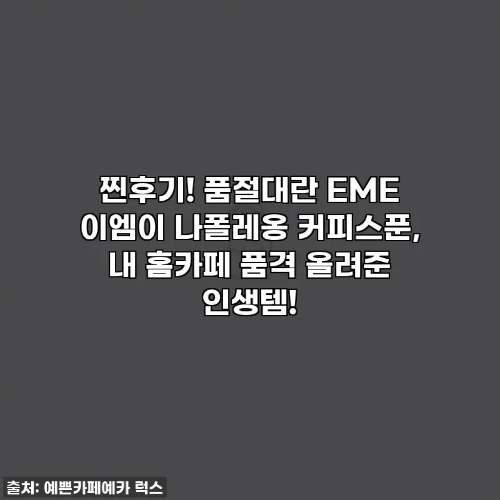 찐후기! 품절대란 EME 이엠이 나폴레옹 커피스푼, 내 홈카페 품격 올려준 인생템!
