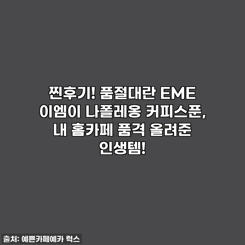 찐후기! 품절대란 EME 이엠이 나폴레옹 커피스푼, 내 홈카페 품격 올려준 인생템!