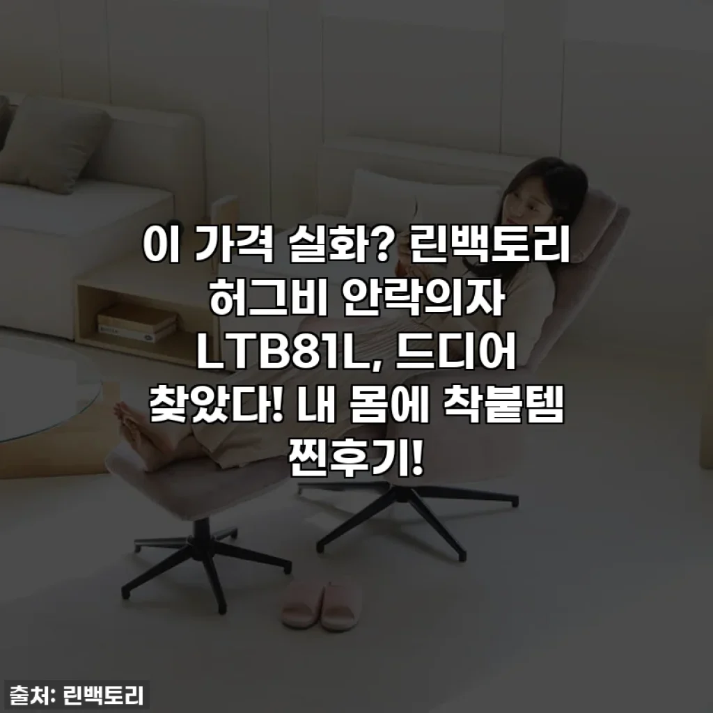 이 가격 실화? 린백토리 허그비 안락의자 LTB81L, 드디어 찾았다! 내 몸에 착붙템 찐후기!