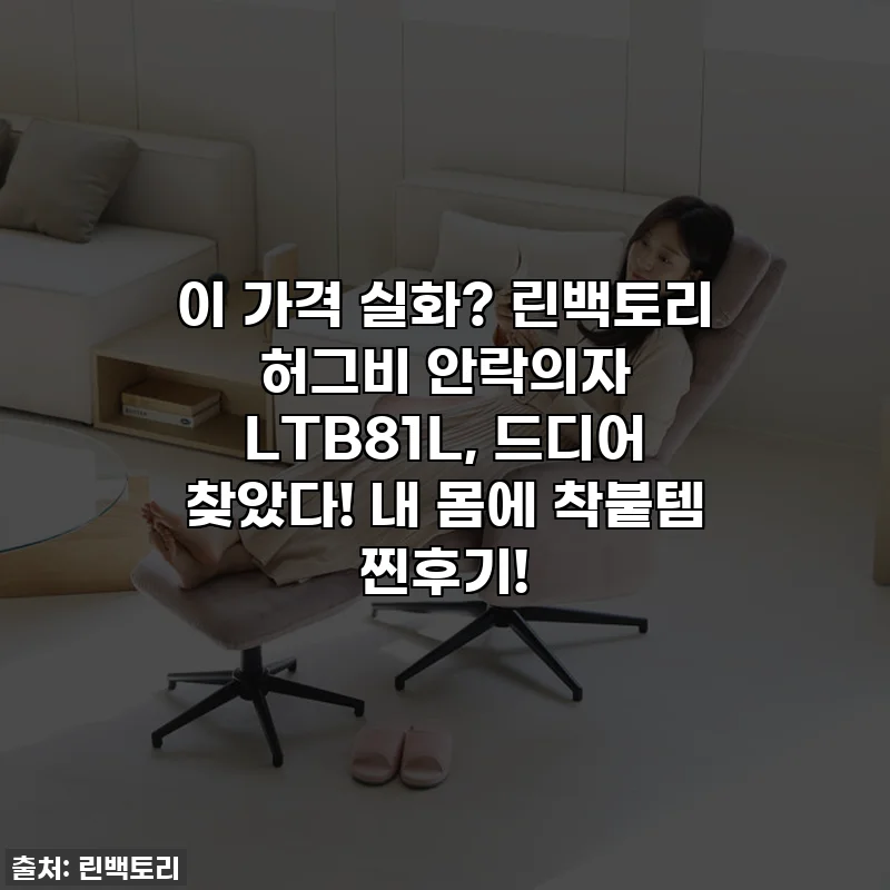 이 가격 실화? 린백토리 허그비 안락의자 LTB81L, 드디어 찾았다! 내 몸에 착붙템 찐후기!