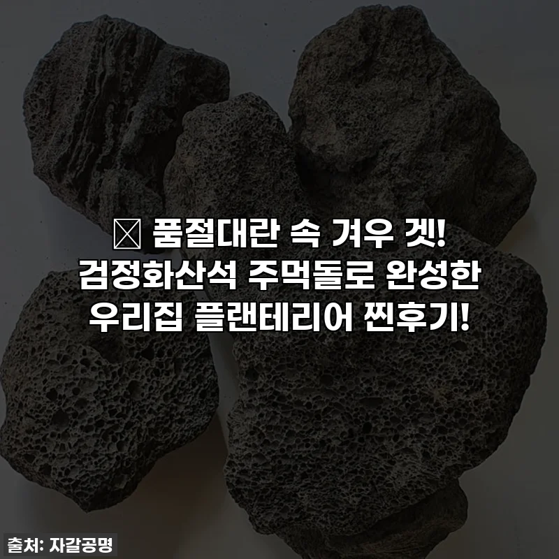 ✨ 품절대란 속 겨우 겟! 검정화산석 주먹돌로 완성한 우리집 플랜테리어 찐후기!