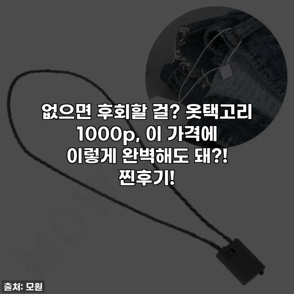 없으면 후회할 걸? 옷택고리 1000p, 이 가격에 이렇게 완벽해도 돼?! 찐후기!