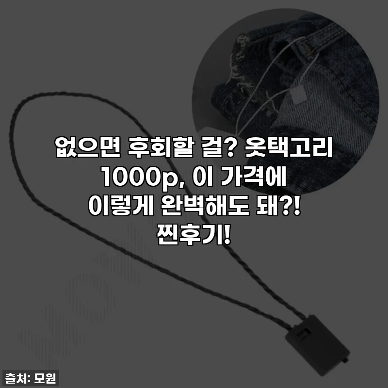 없으면 후회할 걸? 옷택고리 1000p, 이 가격에 이렇게 완벽해도 돼?! 찐후기!