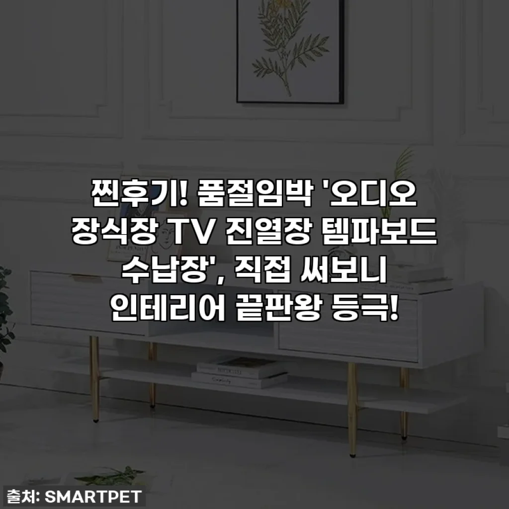 찐후기! 품절임박 '오디오 장식장 TV 진열장 템파보드 수납장', 직접 써보니 인테리어 끝판왕 등극!