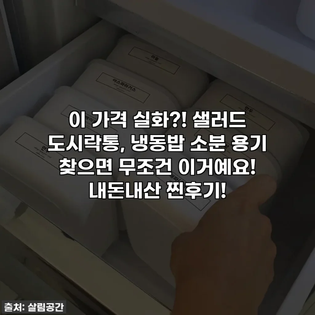 이 가격 실화?! 샐러드 도시락통, 냉동밥 소분 용기 찾으면 무조건 이거예요! 내돈내산 찐후기!