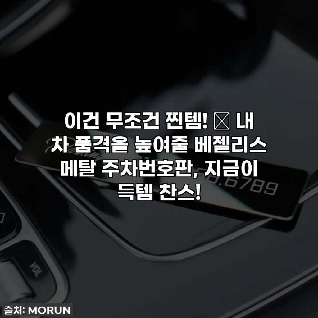 이건 무조건 찐템! ✨ 내 차 품격을 높여줄 베젤리스 메탈 주차번호판, 지금이 득템 찬스!