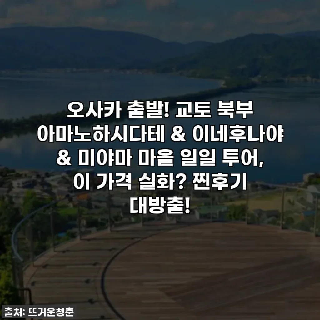 오사카 출발! 교토 북부 아마노하시다테 & 이네후나야 & 미야마 마을 일일 투어, 이 가격 실화? 찐후기 대방출!