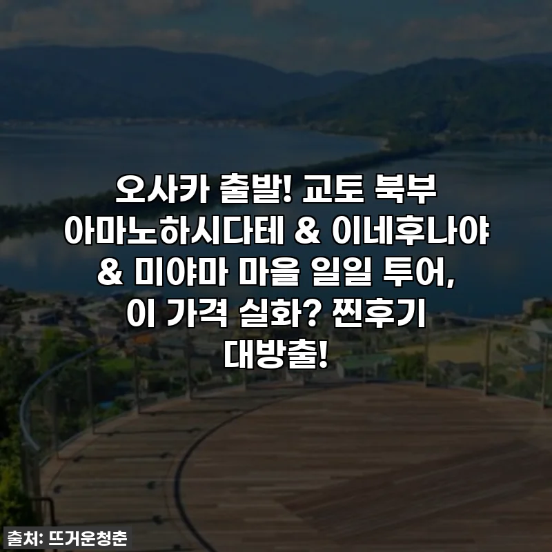 오사카 출발! 교토 북부 아마노하시다테 & 이네후나야 & 미야마 마을 일일 투어, 이 가격 실화? 찐후기 대방출!