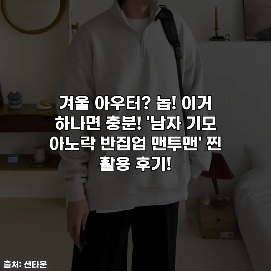 겨울 아우터? 놉! 이거 하나면 충분! '남자 기모 아노락 반집업 맨투맨' 찐 활용 후기!