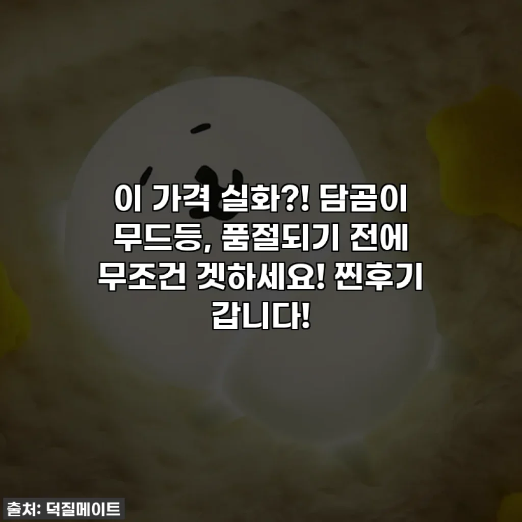 이 가격 실화?! 담곰이 무드등, 품절되기 전에 무조건 겟하세요! 찐후기 갑니다!