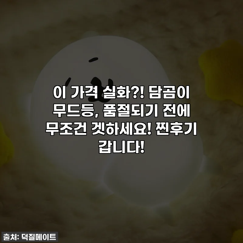 이 가격 실화?! 담곰이 무드등, 품절되기 전에 무조건 겟하세요! 찐후기 갑니다!
