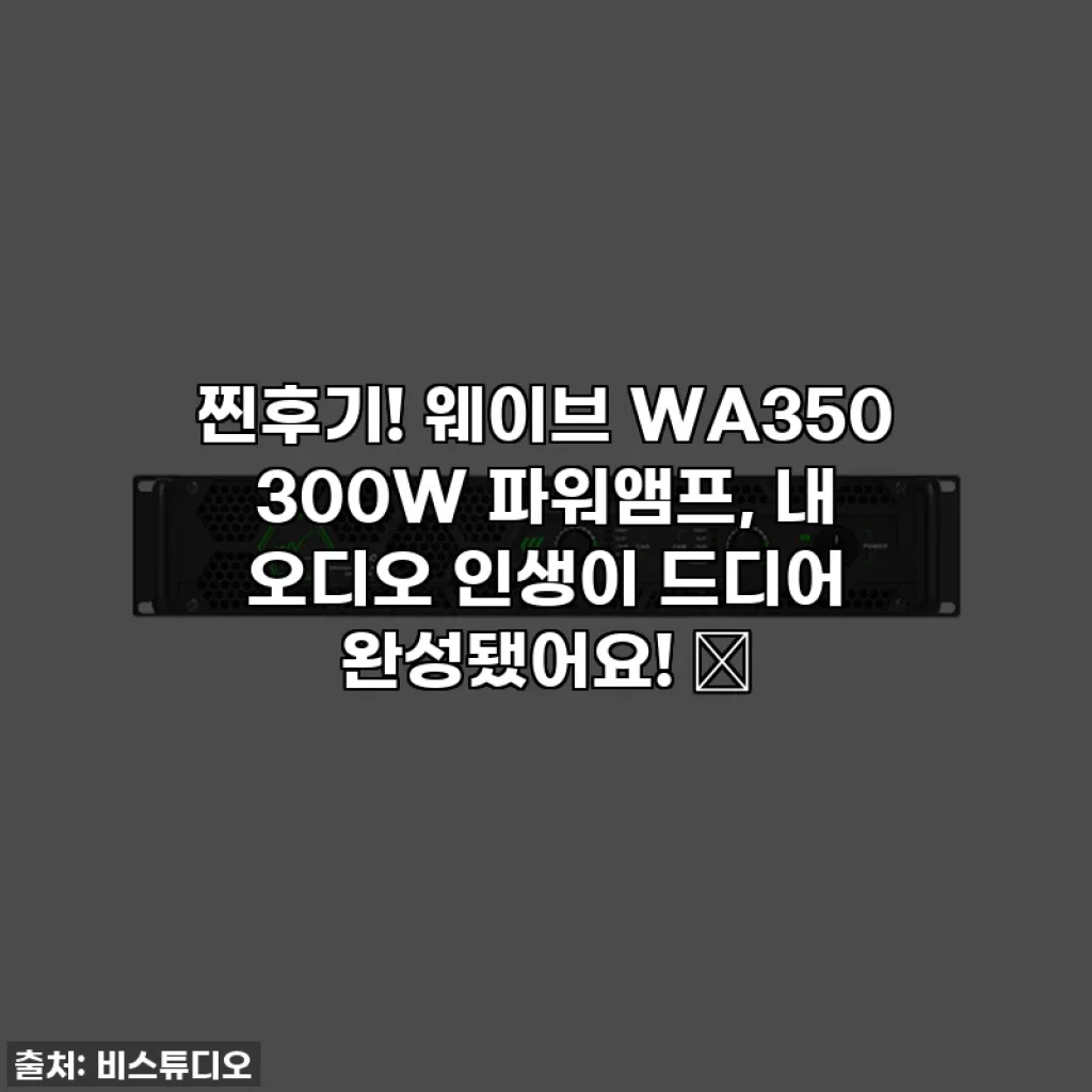 찐후기! 웨이브 WA350 300W 파워앰프, 내 오디오 인생이 드디어 완성됐어요! ✨