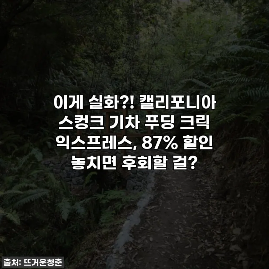 이게 실화?! 캘리포니아 스컹크 기차 푸딩 크릭 익스프레스, 87% 할인 놓치면 후회할 걸?