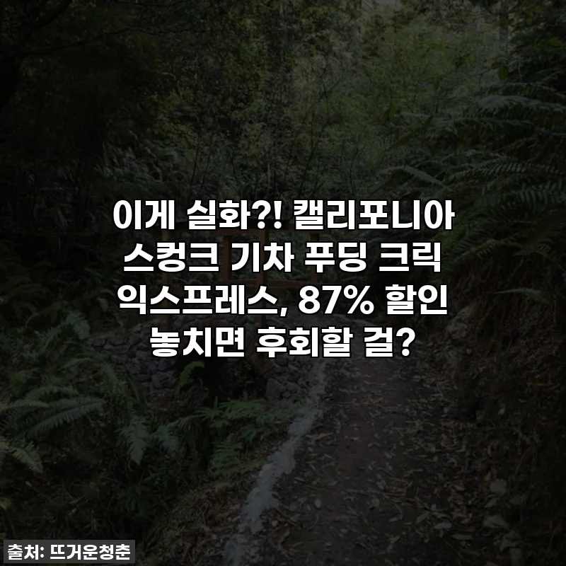 이게 실화?! 캘리포니아 스컹크 기차 푸딩 크릭 익스프레스, 87% 할인 놓치면 후회할 걸?