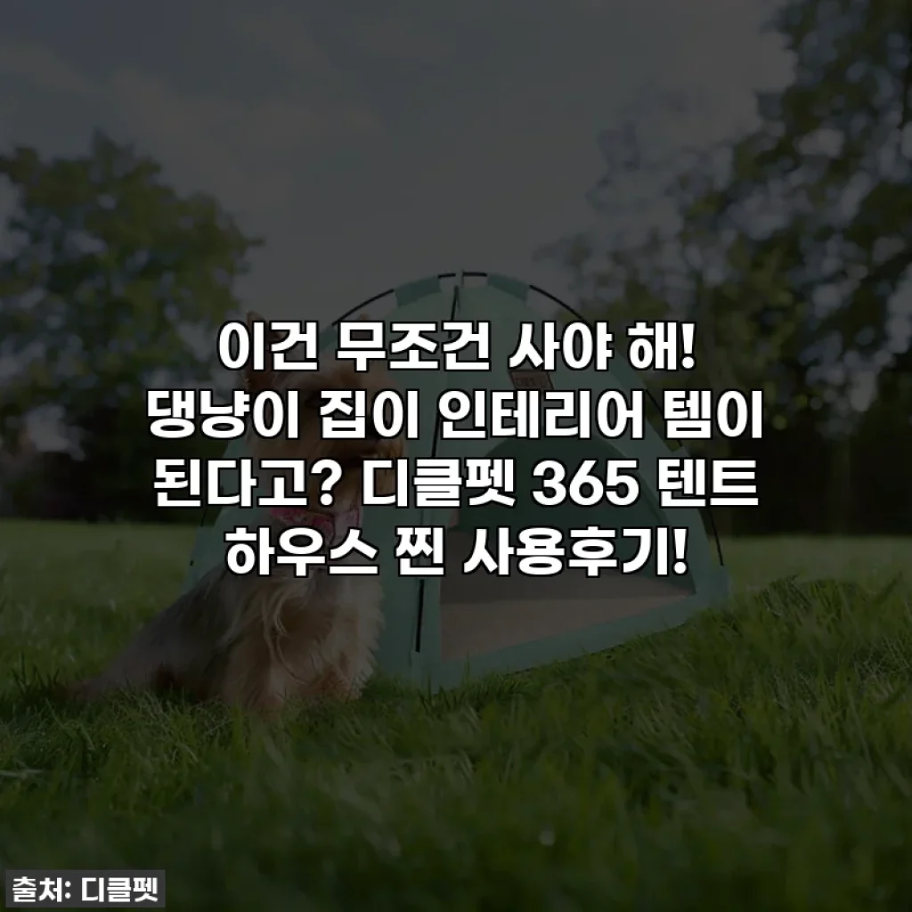 이건 무조건 사야 해! 댕냥이 집이 인테리어 템이 된다고? 디클펫 365 텐트 하우스 찐 사용후기!