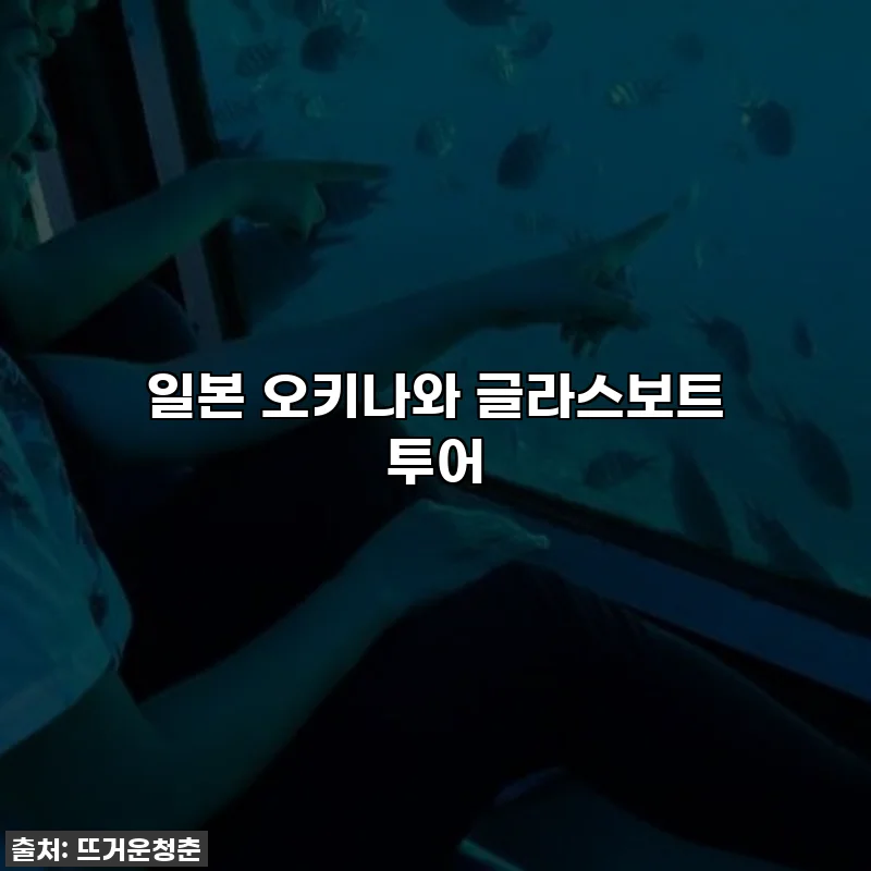 일본 오키나와 글라스보트 투어