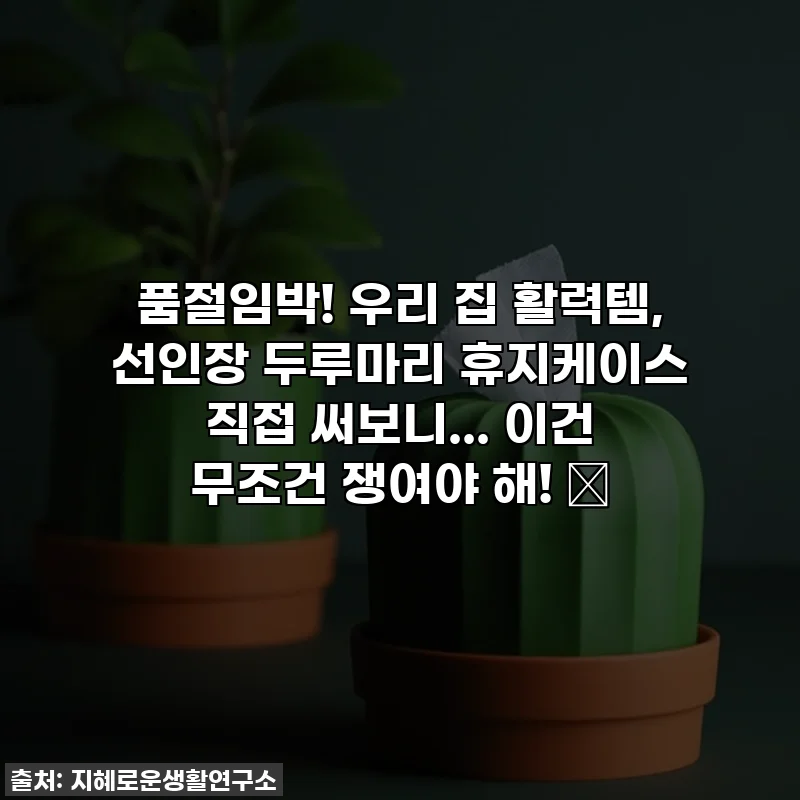 품절임박! 우리 집 활력템, 선인장 두루마리 휴지케이스 직접 써보니... 이건 무조건 쟁여야 해! ✨
