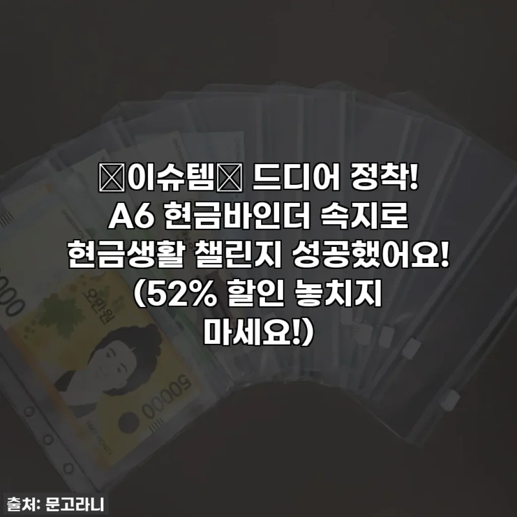 ✨이슈템✨ 드디어 정착! A6 현금바인더 속지로 현금생활 챌린지 성공했어요! (52% 할인 놓치지 마세요!)