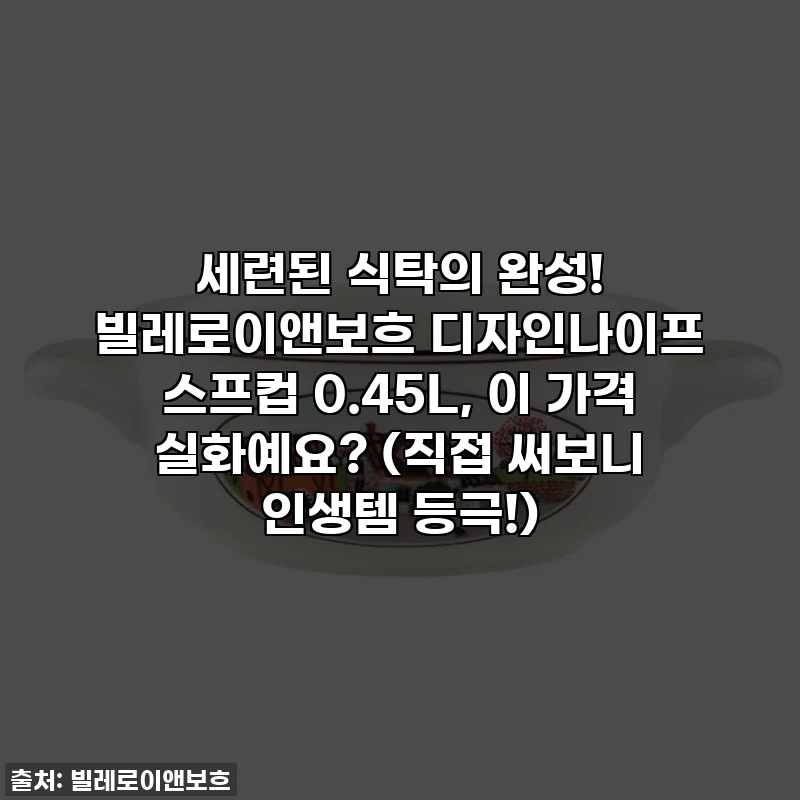 세련된 식탁의 완성! 빌레로이앤보흐 디자인나이프 스프컵 0.45L, 이 가격 실화예요? (직접 써보니 인생템 등극!)
