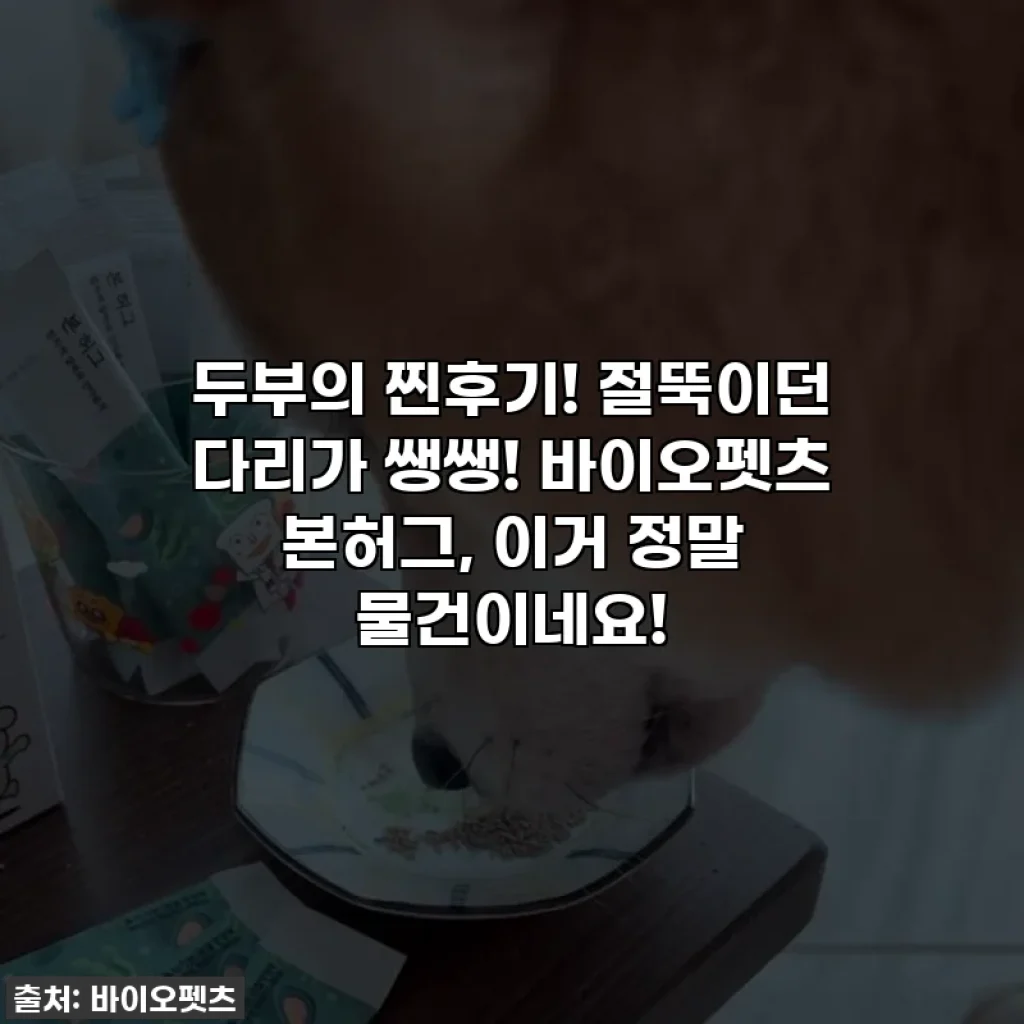두부의 찐후기! 절뚝이던 다리가 쌩쌩! 바이오펫츠 본허그, 이거 정말 물건이네요!