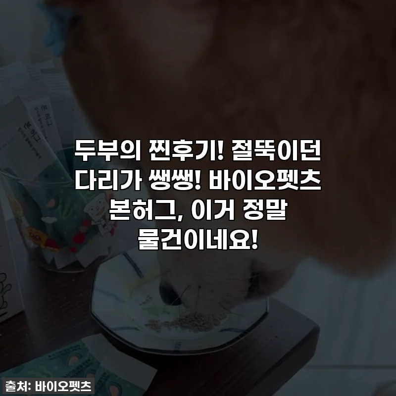 두부의 찐후기! 절뚝이던 다리가 쌩쌩! 바이오펫츠 본허그, 이거 정말 물건이네요!