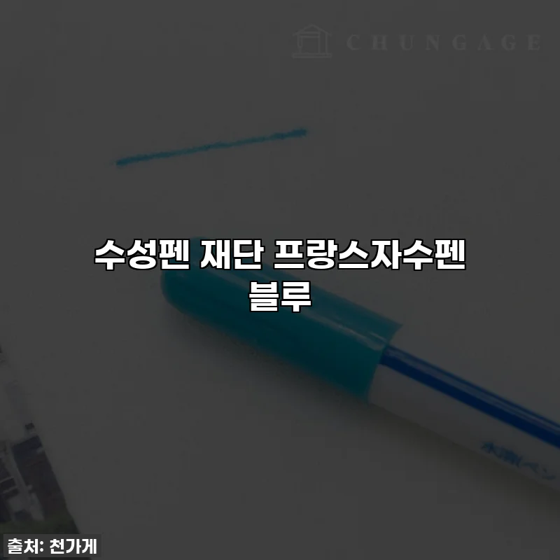 수성펜 재단 프랑스자수펜 블루