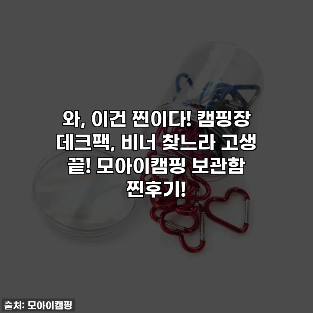 와, 이건 찐이다! 캠핑장 데크팩, 비너 찾느라 고생 끝! 모아이캠핑 보관함 찐후기!