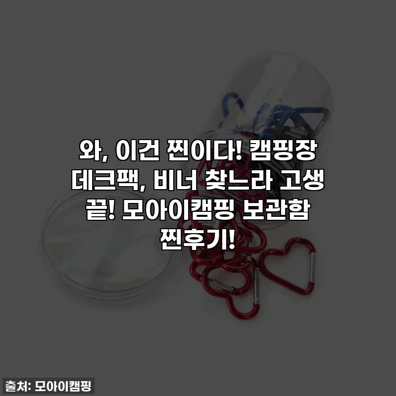 와, 이건 찐이다! 캠핑장 데크팩, 비너 찾느라 고생 끝! 모아이캠핑 보관함 찐후기!