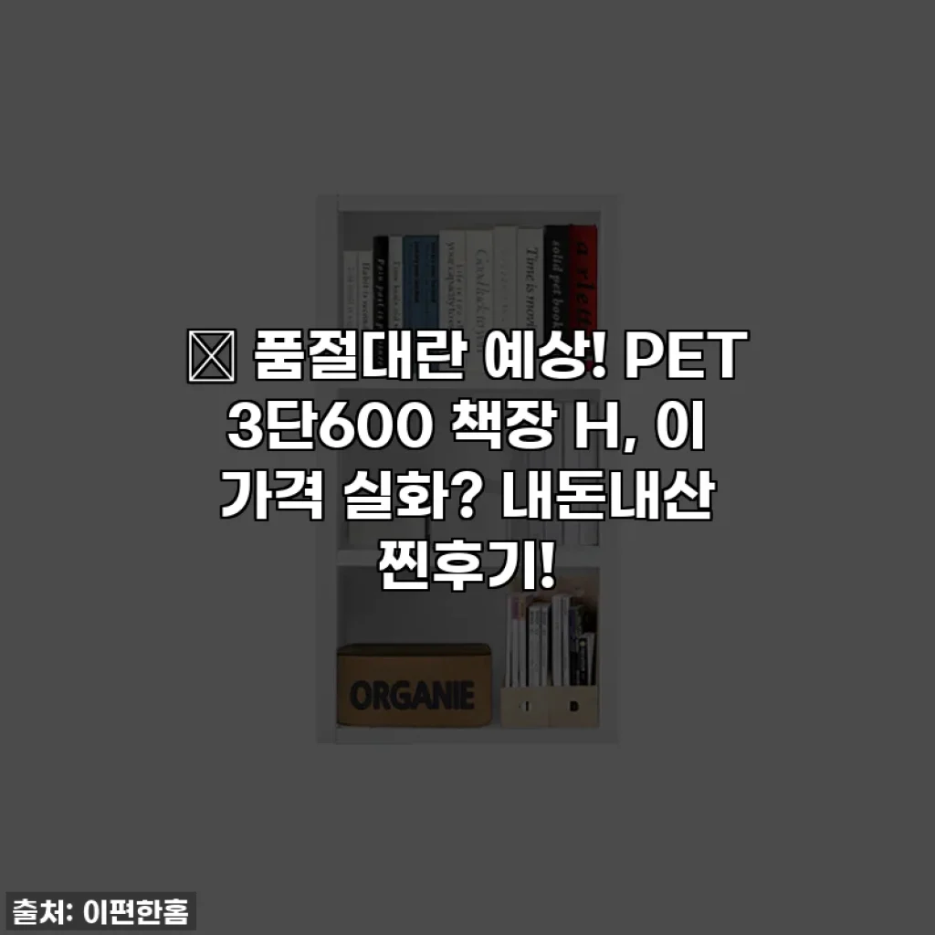 🔥 품절대란 예상! PET 3단600 책장 H, 이 가격 실화? 내돈내산 찐후기!