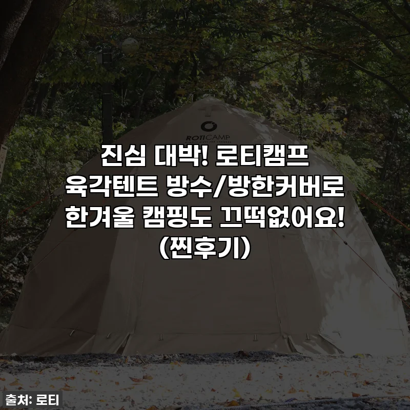 진심 대박! 로티캠프 육각텐트 방수/방한커버로 한겨울 캠핑도 끄떡없어요! (찐후기)
