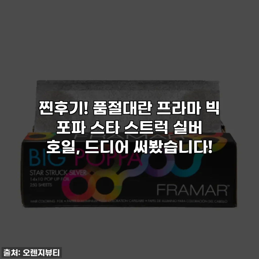찐후기! 품절대란 프라마 빅 포파 스타 스트럭 실버 호일, 드디어 써봤습니다!