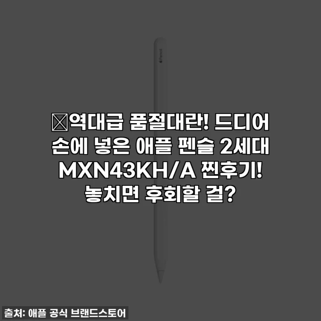 🔥역대급 품절대란! 드디어 손에 넣은 애플 펜슬 2세대 MXN43KH/A 찐후기! 놓치면 후회할 걸?