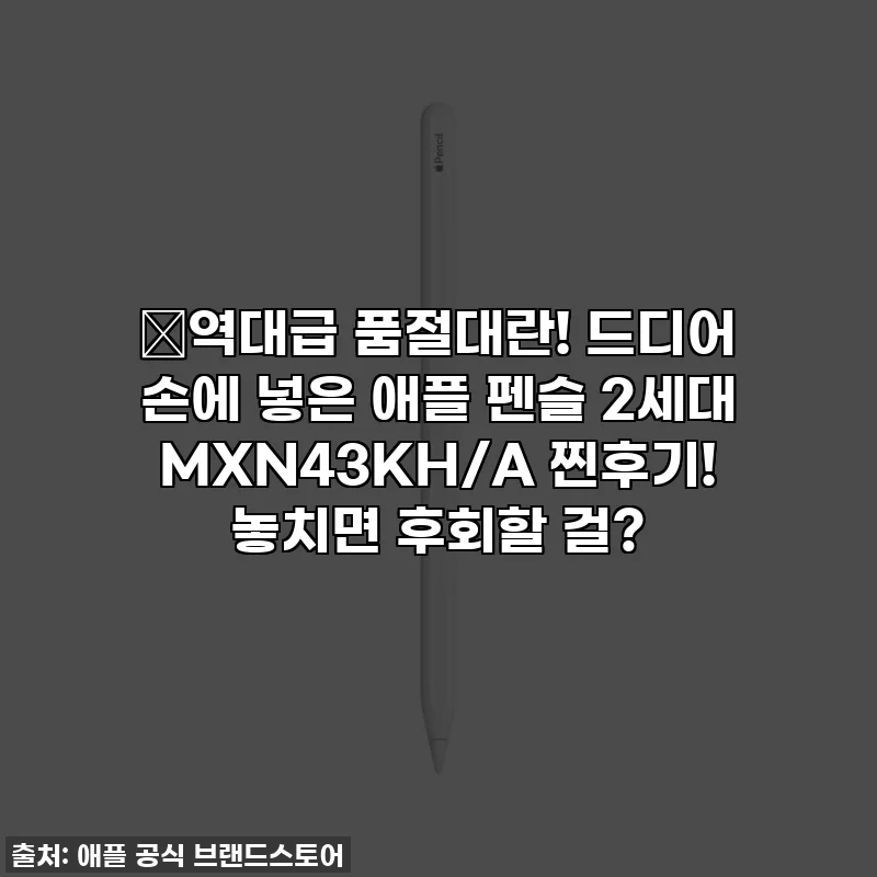 🔥역대급 품절대란! 드디어 손에 넣은 애플 펜슬 2세대 MXN43KH/A 찐후기! 놓치면 후회할 걸?