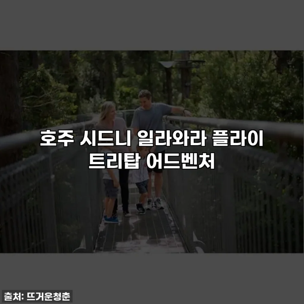 호주 시드니 일라와라 플라이 트리탑 어드벤처